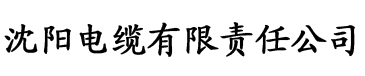 黄色影院大香蕉电缆厂logo